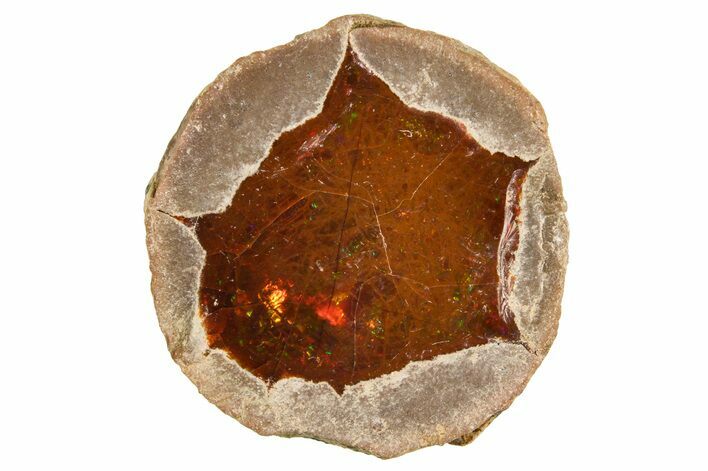 Ethiopian Chocolate Opal Nodule - Yita Ridge #369126